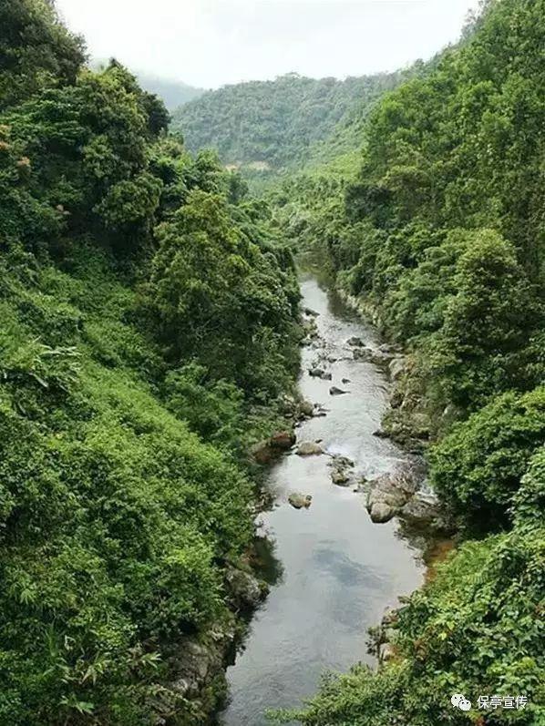 国产百万级纯电轿跑，仰望U7正式申报，提供流媒体后视镜选装